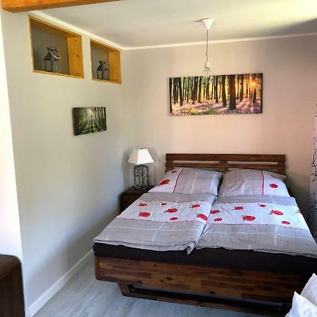 Apartmán Fuchsbau Königstein an der Elbe Exteriér fotografie