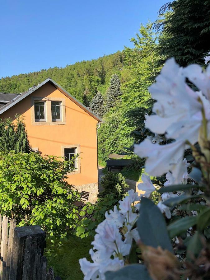 Apartmán Fuchsbau Königstein an der Elbe Exteriér fotografie
